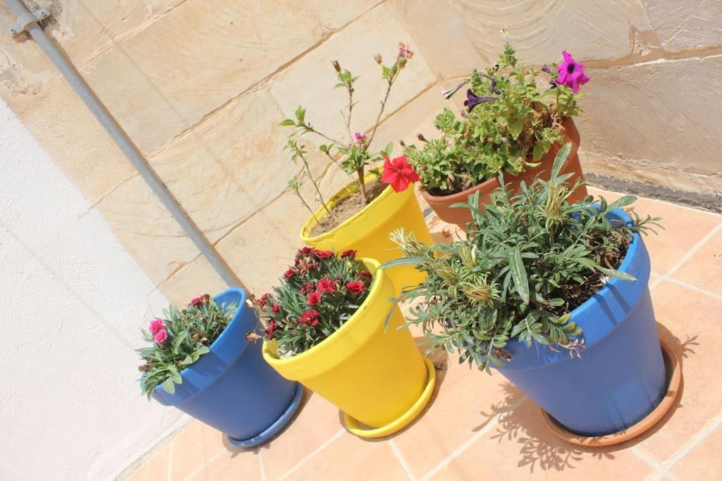 That Little Zurrieq Exterior foto